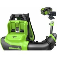 Greenworks GD40BPG2K4 2408107UB