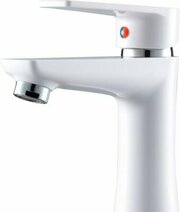 РМС PL6-001F фото